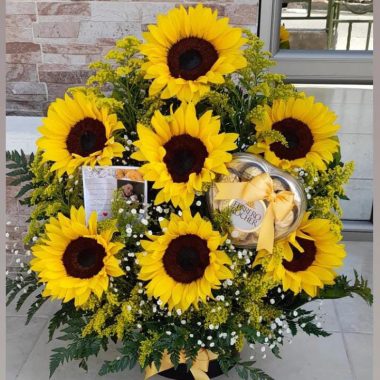 Girasoles Marysol