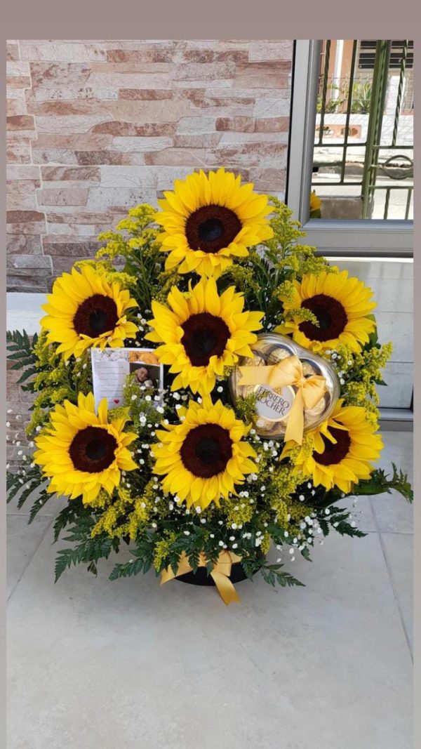 Girasoles Marysol
