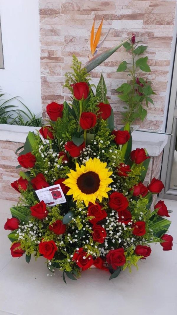 Rosal Lina